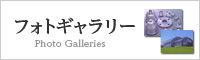 フォトギャラリー
